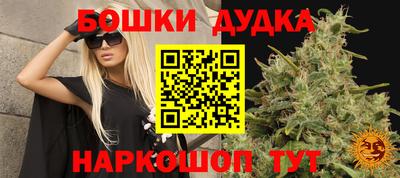 кокс Краснодар