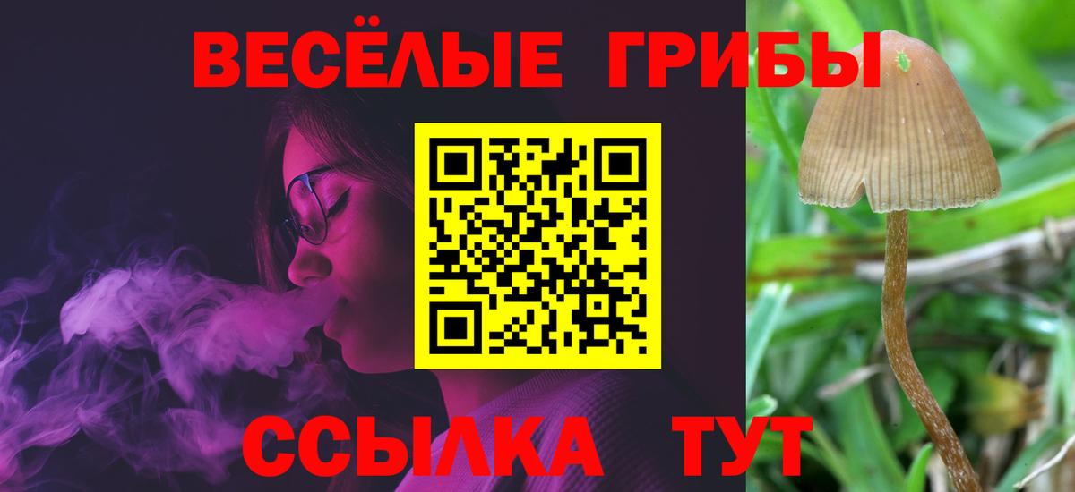 Черкесск  Галлюциногенные грибы мухоморы  купить  цена  Вход с VPN  Галлюциногенные грибы мицелий 